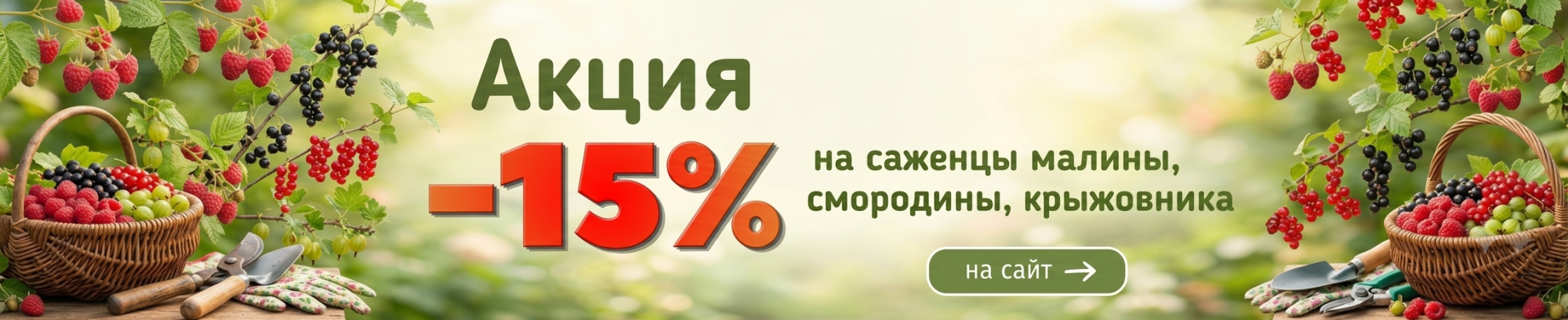 плодовые кусты предзаказ
