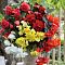 Микс Ампельных Бегоний Микс Ампельных Бегоний фото