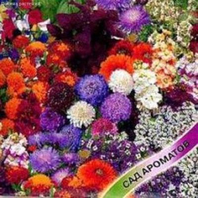 Декоративная смесь Ароматы Лета Декоративная смесь Ароматы Лета фото