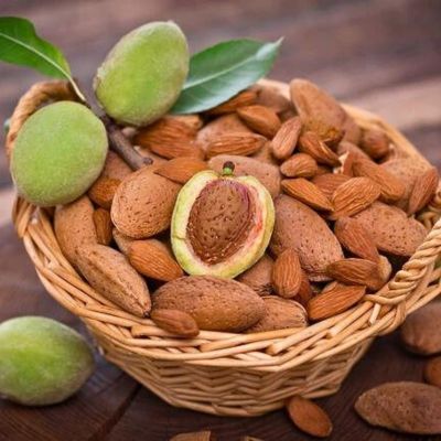 Миндаль Обыкновенный Миндаль Обыкновенный - Dolina-Sad.Ru