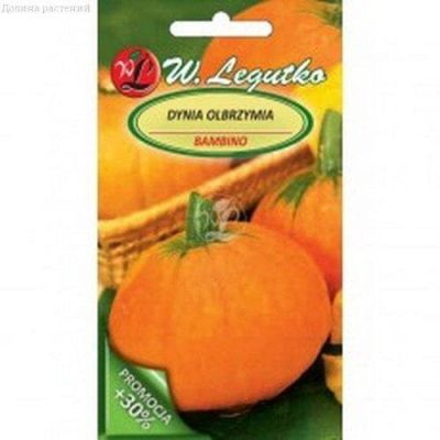 Тыква Бамбино (Польша) фото