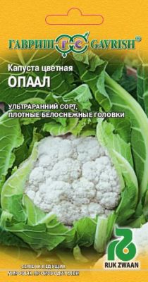 Капуста цветная Опаал (Голландия) фото