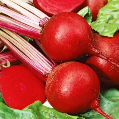 Свекла Красный шар (Червона Кула) фото